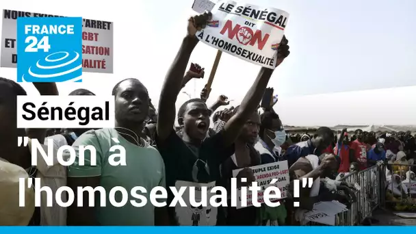 Sénégal : des manifestants appellent à durcir la répression de l'homosexualité • FRANCE 24