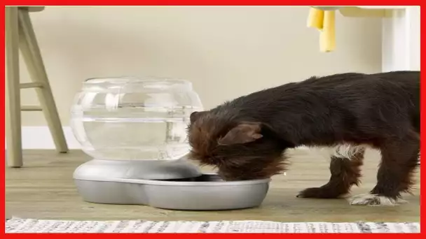 Petmate Replendish Automatic Gravity Waterer for Cats and Dogs, BPA-Free, No Batteries Required.