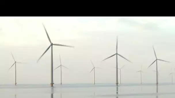 Éolien offshore : la France tourne en rond • FRANCE 24