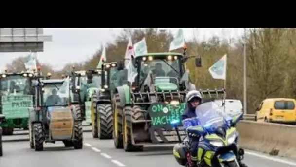 Blocages des agriculteurs : de retour à Agen, les exploitants de Lot-et-Garonne réfléchissent à l…