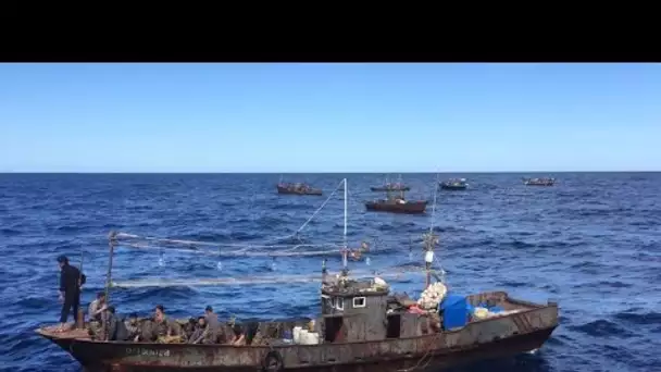 Corée du Nord : enquête exclusive sur ces pêcheurs qui pillent les eaux voisines