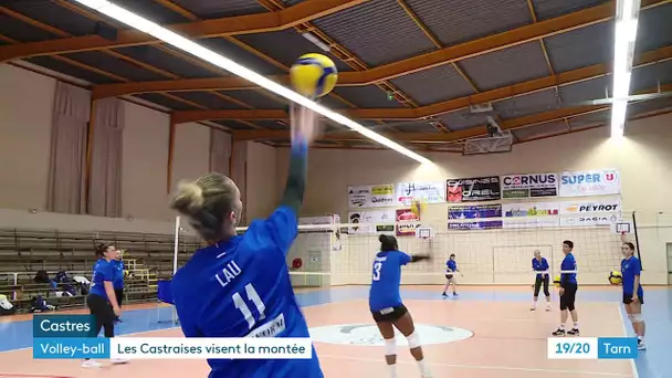 Les Hornets, l'équipe féminine de volley de Castres en route vers la division professionnelle