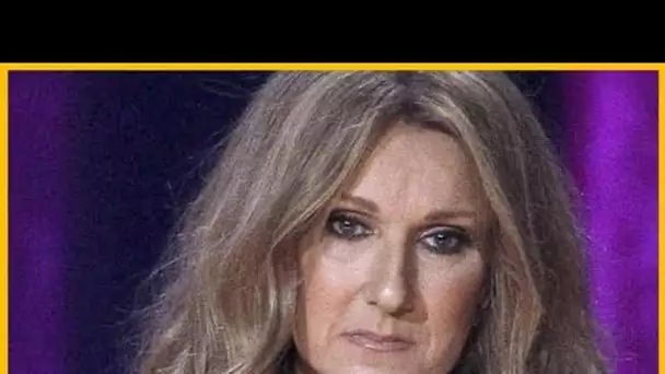 La Triste Nouvelle Pour La Diva Céline Dion Vient De Tomber