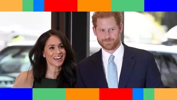 Meghan et Harry  un nouveau voisin milliardaire des Sussex prend la poudre d'escampette