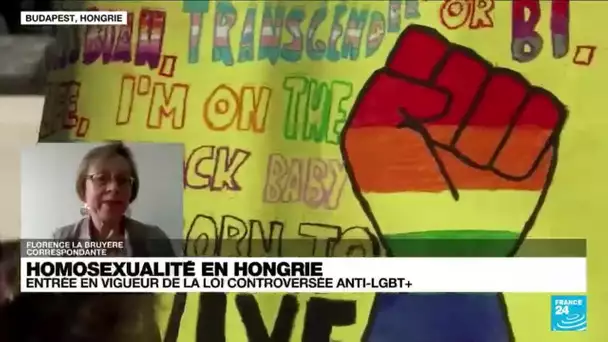 Hongrie : comment le gouvernement justifie la loi anti-LGBT+ très controversée ? • FRANCE 24