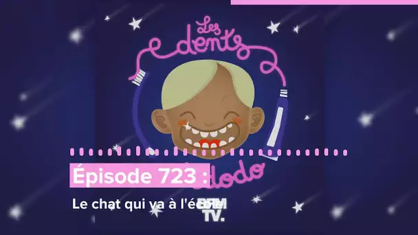 Les dents et dodo - “Épisode 723 : Le chat qui va à l'école”