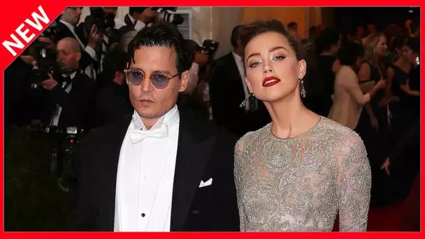 ✅  Johnny Depp vs Amber Heard : leur femme de ménage raconte son calvaire