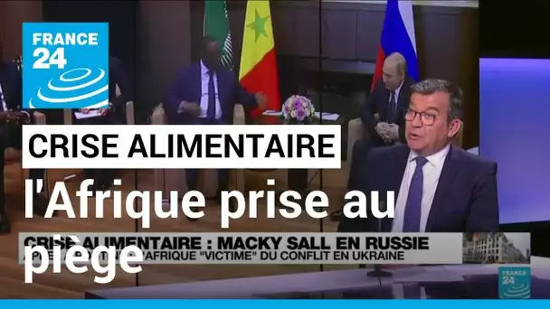 Dépendante des céréales ukrainiennes et russes, l'Afrique prise au piège • FRANCE 24