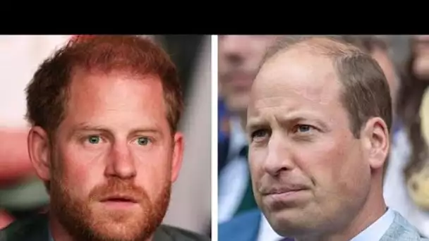 La confrontation enflammée entre le prince Harry et le prince William a déclenché une « prise de con