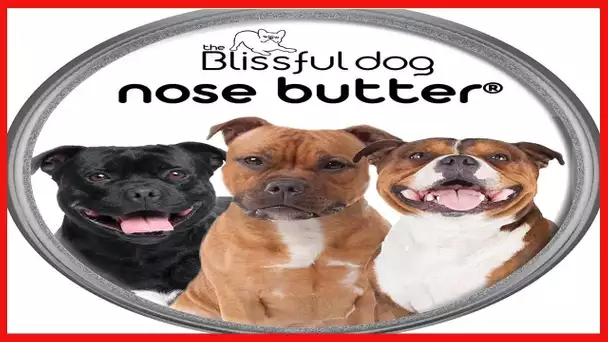 The Blissful Dog Pit Bull Terrier Nose Butter – Dog Nose Butter, 2 Ounce