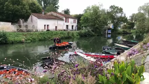 "Tous les chemins mènent à vous à Coulon" dans les Deux-Sèvres.