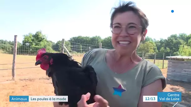 Portrait : Manuela Leduc une éleveuse de poules aux œufs d'or