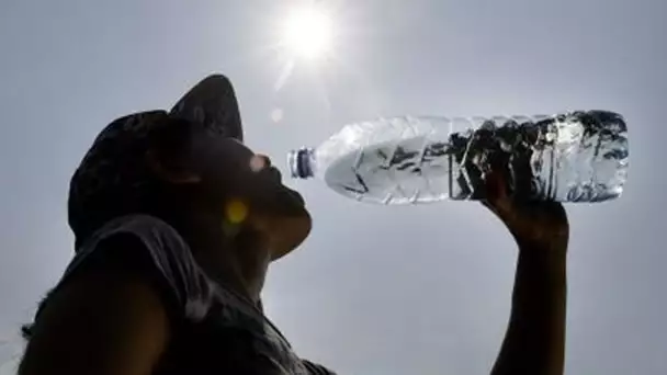 Canicule : «Il est conseillé de manger plutôt léger et frais», rappelle Margot Bayart