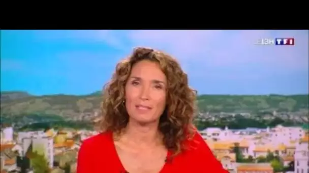 Coup dur pour Marie-Sophie Lacarrau : un journaliste historique du 13h de TF1 quitte...