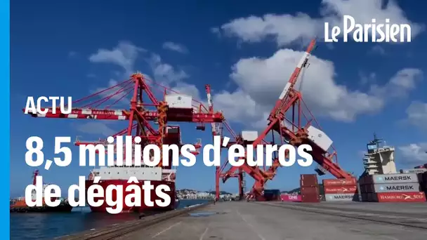 Une immense grue portuaire s'effondre après avoir été percutée par un navire