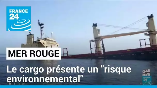 Le cargo coulé en mer Rouge par les Houthis présente un "risque environnemental" • FRANCE 24