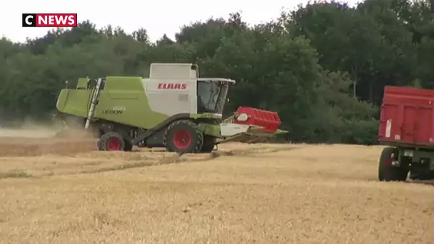 Supprimer le glyphosate aura un coût élevé, prévient un rapport parlementaire