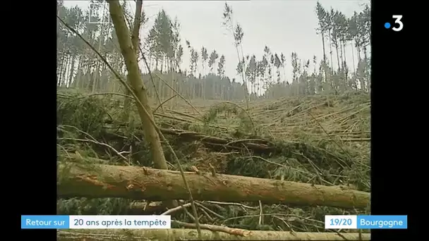 Retour sur : la tempête de 1999 en Bourgogne