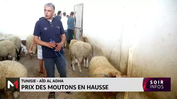 Tunisie - Aïd Al-Adha : Prix des moutons en hausse