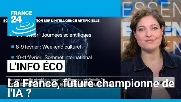 La France, future championne de l'IA ? • FRANCE 24