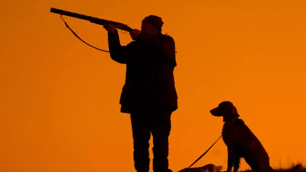 Accident de chasse : une randonneuse abattue par une chasseuse de 17 ans dans le Cantal