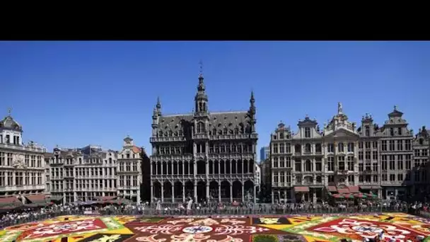 Le "tapis de fleurs" de retour sur la Grand-Place de Bruxelles