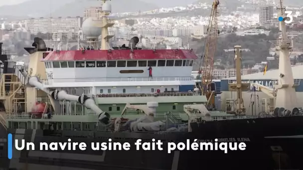 Un navire usine fait polémique