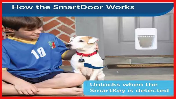 PetSafe Electronic SmartDoor - Collar Activated Dog and Cat Door - Small to Large Pets