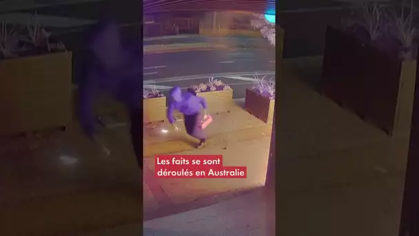 Australie : un pyromane se rate et brûle son pantalon