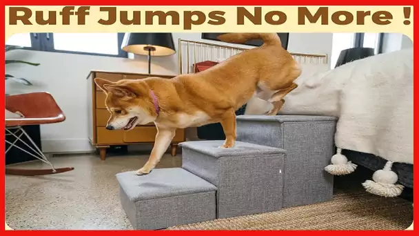 PET AWESOME Dog Stairs with Storage and Adjustable Steps for a Puppy, Small or Medium Dog