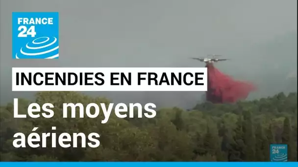 Incendies en France : Canadairs, Dragon, Dash… De quels moyens les pompiers disposent-ils ?