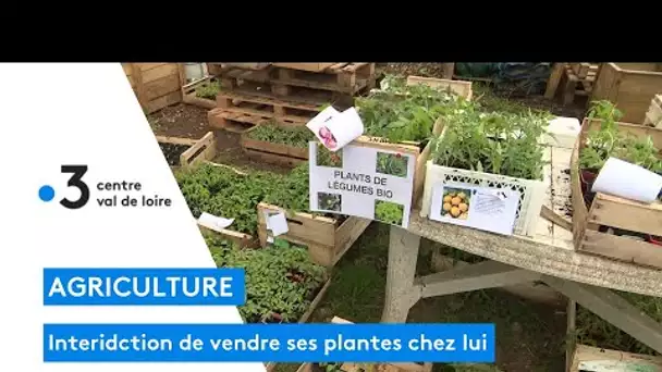 Agriculture : Luynes, soutien à un agriculteur prônant la permaculture, vendant ses plantes chez lui