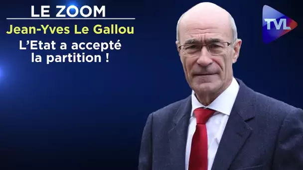 L’Etat a accepté la partition ! - Le Zoom - Jean-Yves Le Gallou - TVL