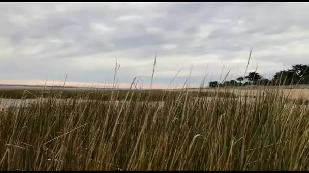 "Tous les chemins mènent à vous" à Port des Barques en Charente-Maritime