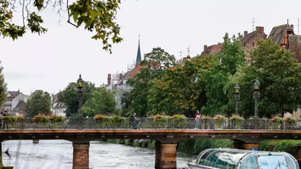 À Strasbourg, les cours d'écoles végétalisées ouvertes tout l'été pour contrer la canicule