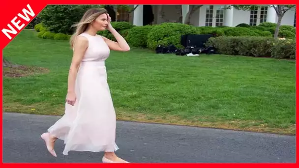 ✅  Melania Trump pressée au divorce ? « Il faut faire vite avant que Donald n'ait plus de cash »