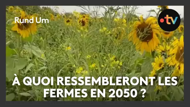 Face au changement climatique, des agriculteurs imaginent les fermes du futur