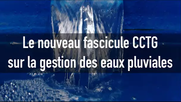 Eaux pluviales : un fascicule pour « raisonner quel que soit l’ouvrage ou la technologie »