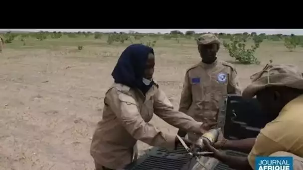 Tchad : rencontre avec la première femme démineuse du pays • FRANCE 24