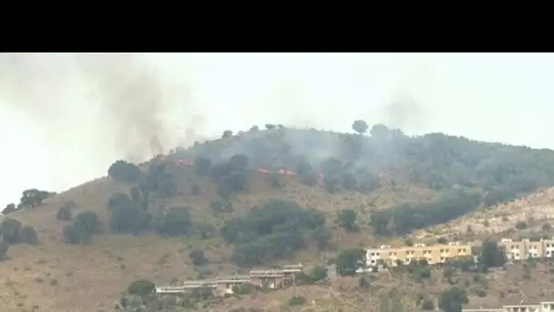 De l'Italie à l'Algérie, de violents incendies ravagent l'Europe du Sud