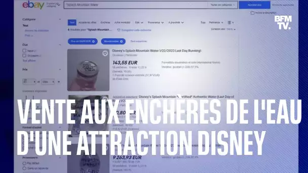 Une attraction de Disney World jugée raciste ferme et son eau est vendue aux enchères sur eBay