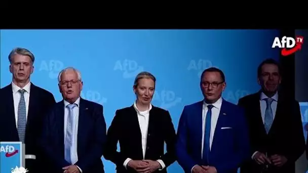 La campagne de l'AfD en difficulté