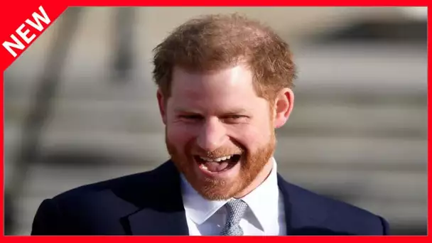 ✅  Le prince Harry a-t-il un statut privilégié aux Etats-Unis ?