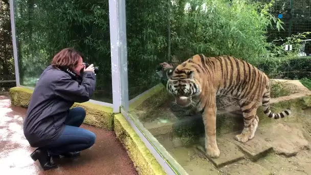 UNE JOURNÉE AU ZOO  DE LA PALMYRE EN CHARENTE-MARITIME