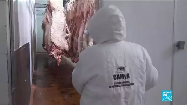 "Guerre de la viande" en Argentine : les producteurs en grève après l'interdiction d'exporter