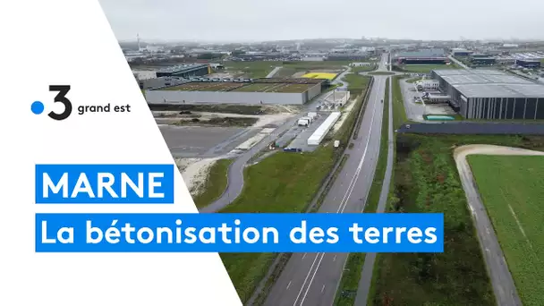 Le problème de la bétonisation des terres agricoles dans la Marne