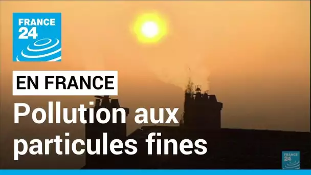 France : pollution aux particules fines, 15 métropoles placées en alerte rouge • FRANCE 24