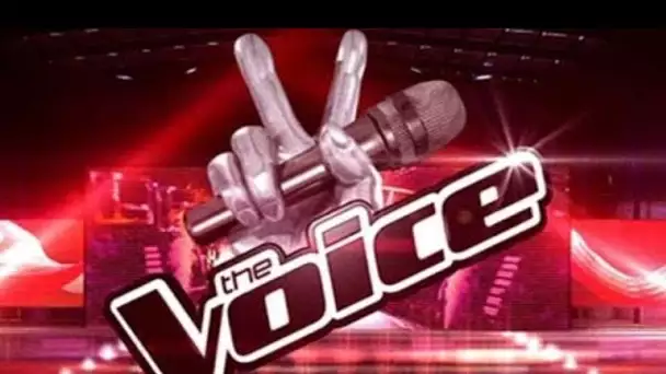 Photos : Une candidate emblématique de The Voice succombe à la chirurgie...