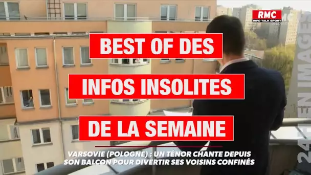 Le best of des infos insolites de la semaine