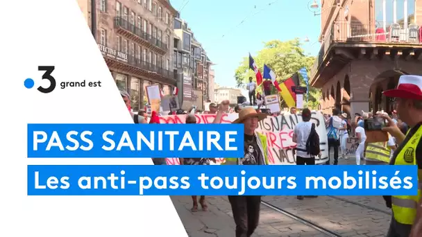 Anti-pass sanitaire : les mobilisations continuent en Alsace